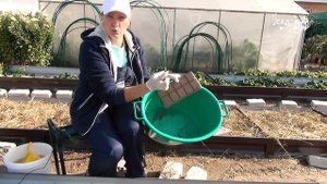 Правила переноса растений в дом из сада на зиму. Карантин и проверенный грунт залог здоровья цветов