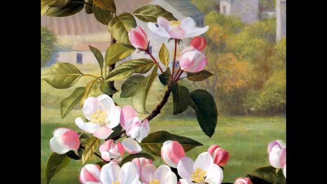 Виктория ИВАНОВА - Зацвёл ещё один садик смотреть онлайн