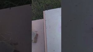 Развития Одна рамочного отводка