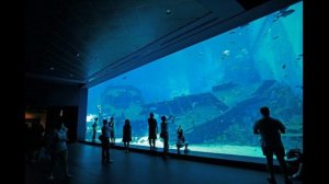 Сон про Ктулху (Часть 1)