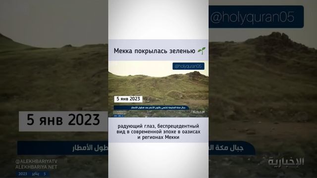 Мекка зеленеет! Признак Судного дня: «Повторное превращение Аравийской пустыни в сады»