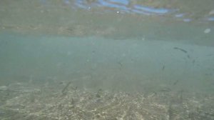 Отель RUBI 5* Турция Turkey