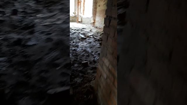 Замурованная комната в Николо-Прозорово