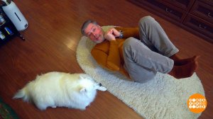 Учимся падать правильно. Доброе утро. Фрагмент выпуска от 08.02.2024