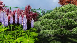 Ландшафтный дизайн участка. Благоустройство и озеленение. д. Глядино