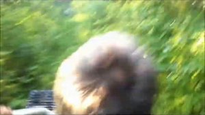 Самодельная мотособака из мотоблока