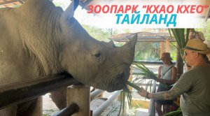 Зоопарк Кхао Кхео. Тайланд 2023 г.