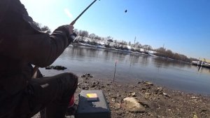 РЫБАЛКА НА ФИДЕР! РЕКА МОСКВА! РЫБАЛКА ВЕСНОЙ 2022! Открыли сезон фидера