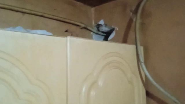 Трещины на стенах ??? дома. Тонели готовы. смотреть онлайн