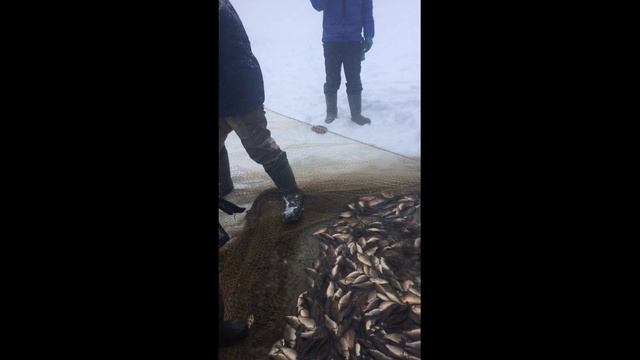 подледная рыбалка в Якутии мунха 2021 .mp4