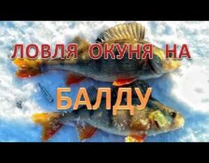 ЛОВЛЯ на БАЛДУ. БАЛДА ЛОВИТ ДАЖЕ В ГЛУХОЗИМЬЕ!  FISHING on A VERTICAL JIG..mp4