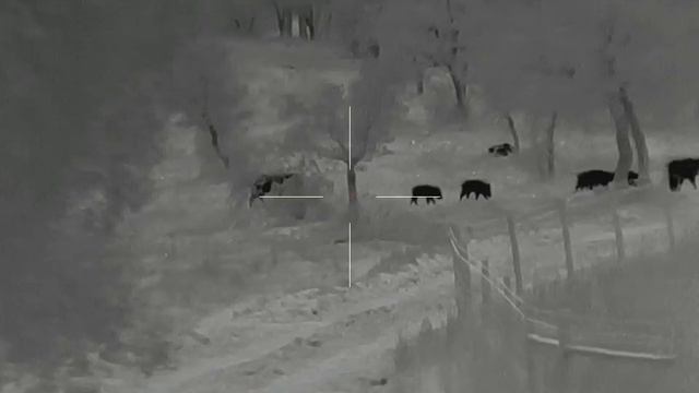 Mira Térmica THERMTEC VIDAR 660L смотреть онлайн