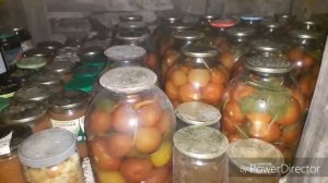 ОБЗОР ЗАГОТОВОК В ПОГРЕБЕ