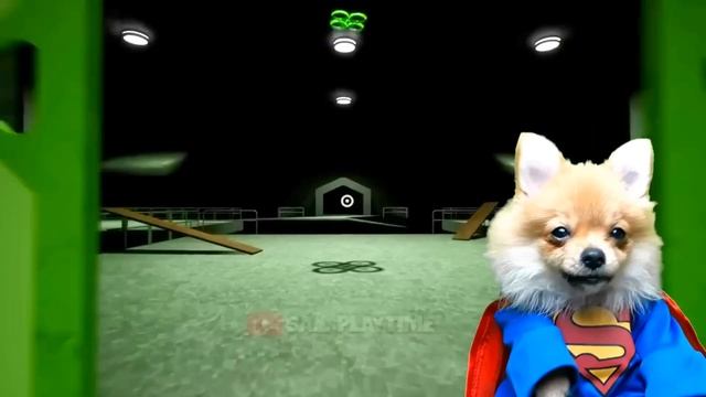 УЖАСНЫЕ МОНСТРЫ в ДЕТСКОМ САДУ БАНБАН! МОДЫ Garten of Banban МОНСТР в РЕАЛЬНОЙ ЖИЗНИ Валеришка Макс смотреть онлайн