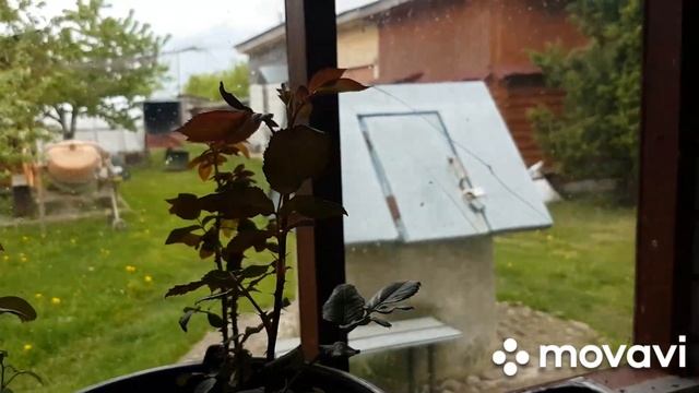 ДЕРЕВНЯ./Кручусь как Белка в Колесе.??? смотреть онлайн