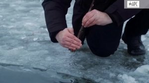 Правила поведения в новогодние каникулы