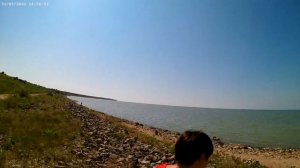 Ейск. Дикая алыча.