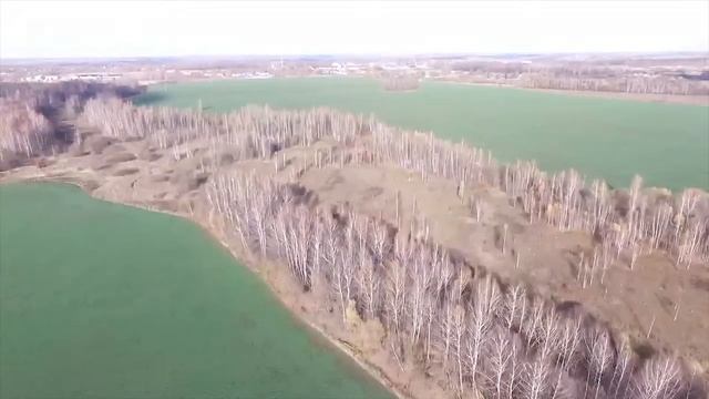 Арсеньево родная сторона