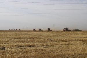 Мелиорация и семеноводство - для лучших результатов