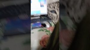 что делать если нет версии в т лаунчере старых