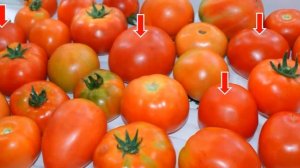 Как зеленые помидоры сделать красными
