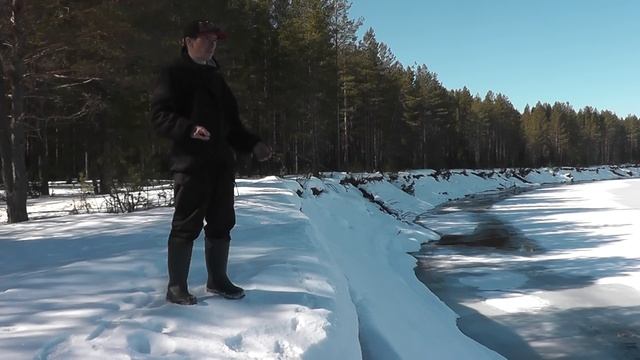 Решили прогуляться до реки. Кого по чувствовала собака? Скоро на рыбалку! смотреть онлайн