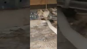 Продаём Газель Next Б\У