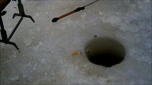 Зимняя рыбалка по подлещику, на Волге, у Калязина.