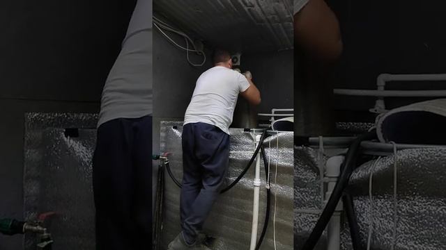 Гидротермическая обработка субстрата для выращивания грибов вёшенки смотреть онлайн