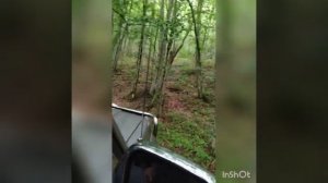 Поездка на природу за мятой! Горная река, самый старый мост, горы, землянка