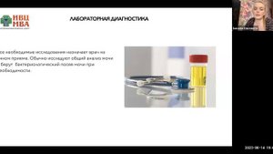 Что делать, если у кошки цистит ИВЦ Бикеева Е Н