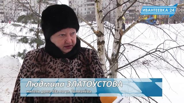 При уборке снега сломали дерево на Толмачева