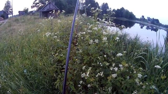 Псковская обл. KAIDA Swagger 2.40 тест 0.8-11 гр. + Gladiator DICTATOR 2500FD смотреть онлайн