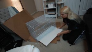 ЛУЧШАЯ КЛЕТКА ДЛЯ ВОЛНИСТЫХ ПОПУГАЕВ НЕРАЗЛУЧНИКОВ И КОРЕЛЛ | РАСПАКОВКА