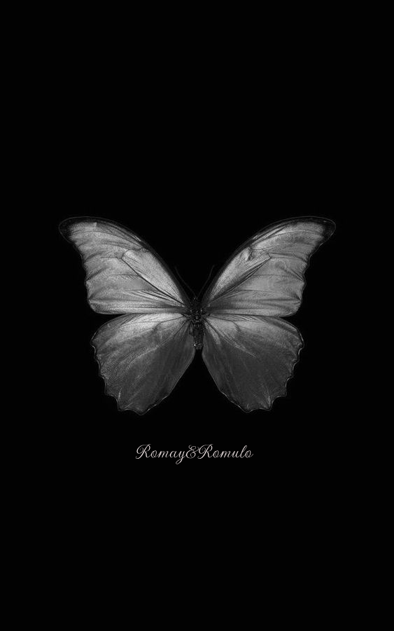 RomayRomulo opus XIII