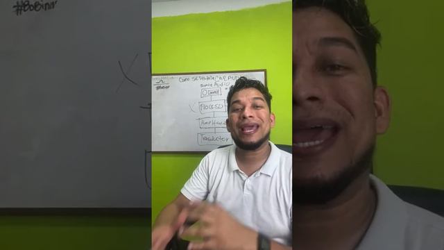 Cómo se conecta el car audio  orden de instalación