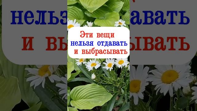 Эти вещи нельзя отдавать и выбрасывать