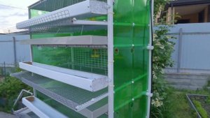 Перепела для начинающих. Миниферма на 200 перепелов