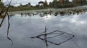 Осенняя рыбалка на херабуну. Озеро Когальное.