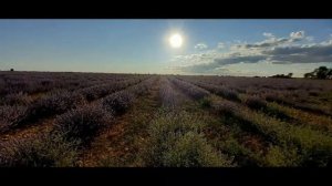 PIEDRA Y LAVANDA.  "AQUELLA SIERRA NEVADA"- José Marín