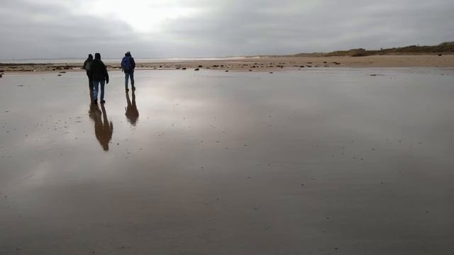 Liberty Cap смотреть онлайн