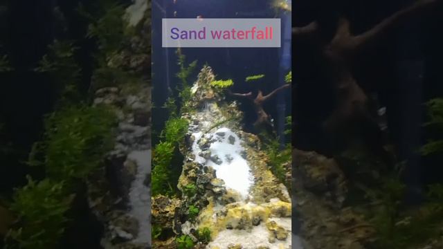 sand waterfall | #aquagick #ytviral #aquascaping #ytshort #ytshortsindia #ytshortsvideo #yt