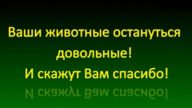 РУФИД
