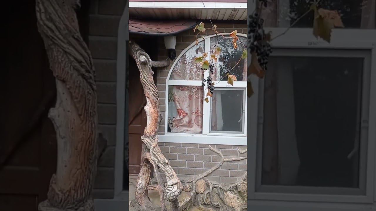 Вход на  даче.цветники дорожки.работа мастера Сергея Капитанова. #сказочнаямастерскаяколесникова