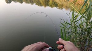 Мормышинг с gammarus 0.1-0.6+Shimano vanford 500.Утренний клёв ?. Micro baits рулит!