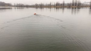 Инструкция по настройке автопилота Runferry на воде. Пульт  FS-i6