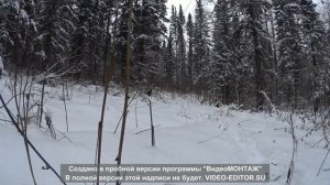 охота на соболя 2018 г