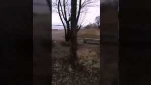 Огурцово Новосибирск, рыбалка.Беспередел местных жителей.