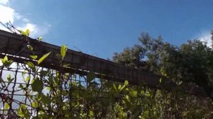 Опора под лимонник.