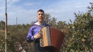 Снится мне деревня. Песня под баян